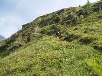 Youri - Ecrins 2005 332